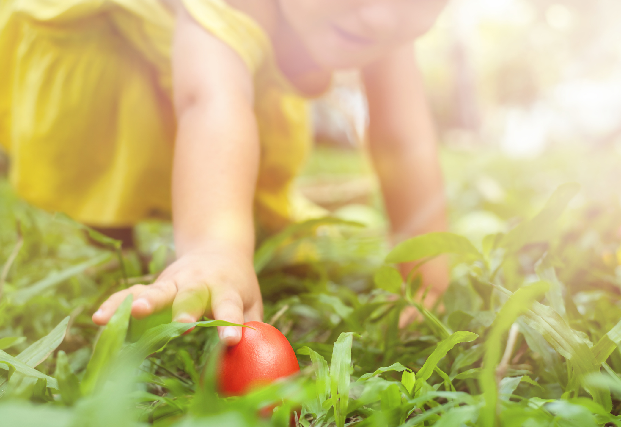 There is no shortage of North Fork Easter Egg hunts for kids