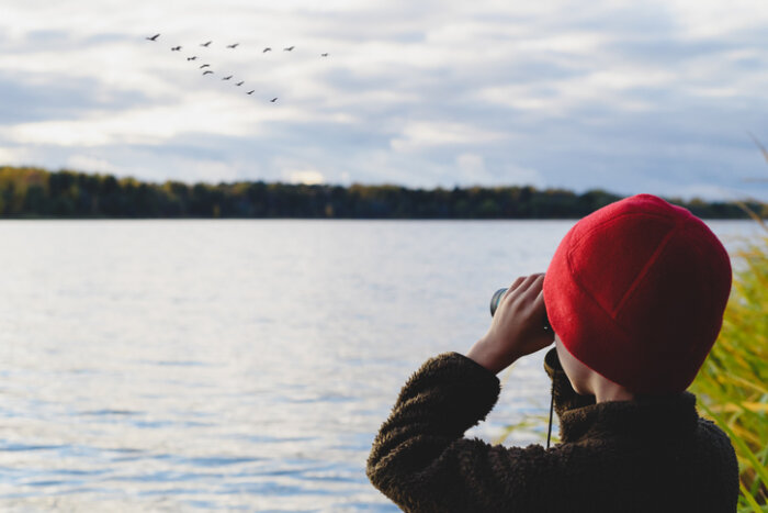 Kid on lake shore watching in binoculars how flock of migrating birds training to fly in wedge
