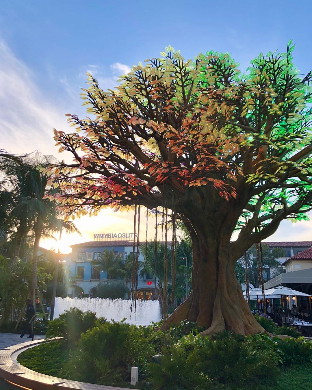 The Wishing Tree Water Pavilion, West Palm Beach