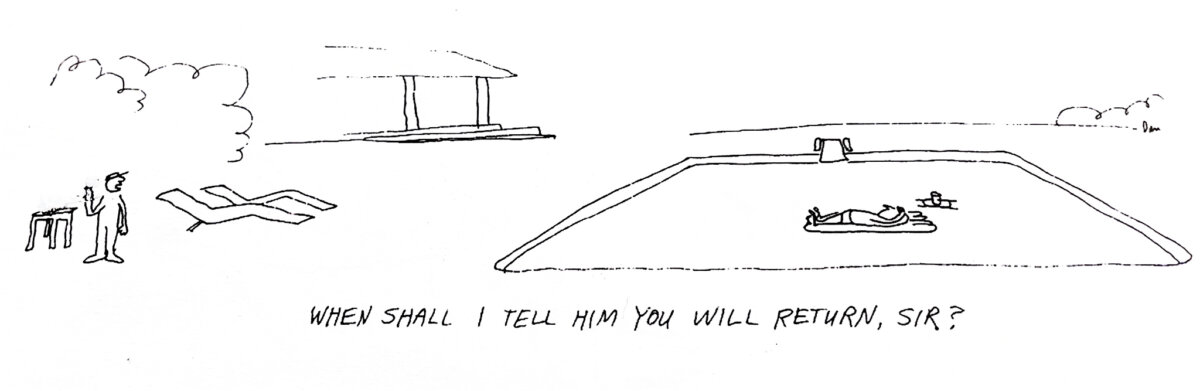 Swimply pool Cartoon by Dan Rattiner