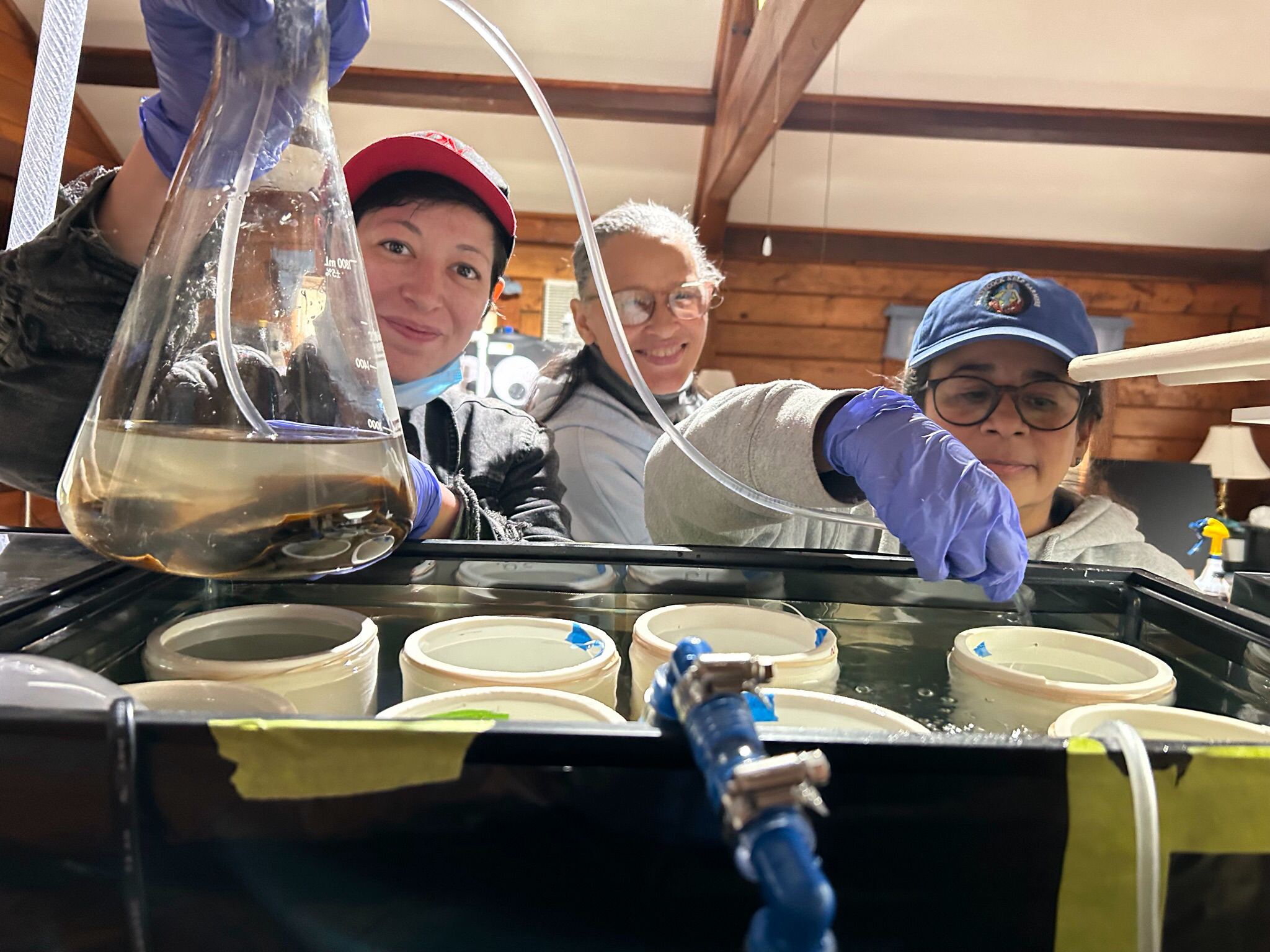 Shinnecock Kelp Farmers Waban Tarrant, Donna Collins-Smith and Danielle Hopson Begun in the hatchery