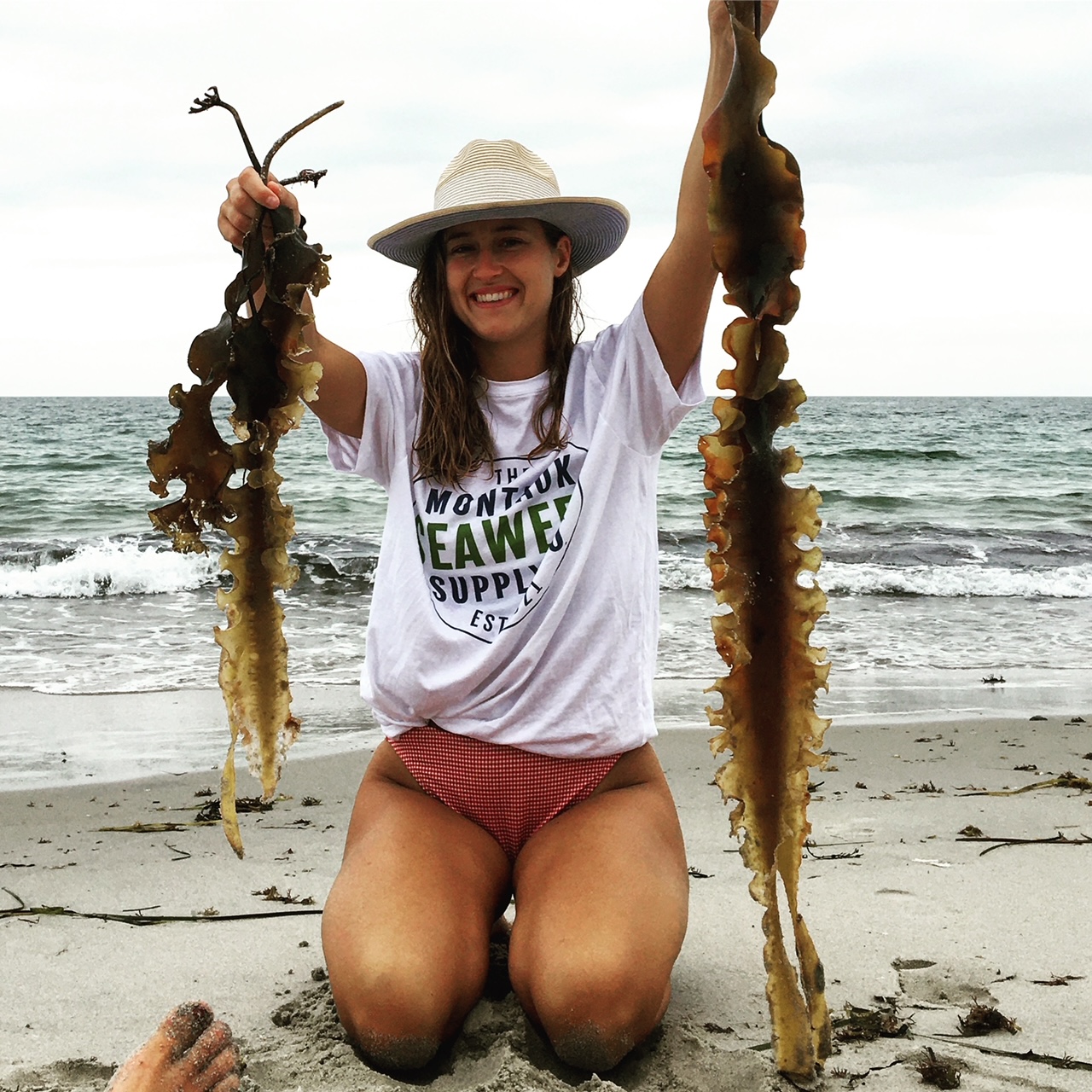 Kelp on the beach