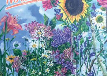 May 26, 2023 Dan's North Fork cover art by Anna Jurinich