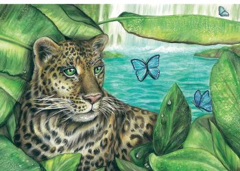 June 9, 2023 Dan's Papers cover art by Julie O'Brien