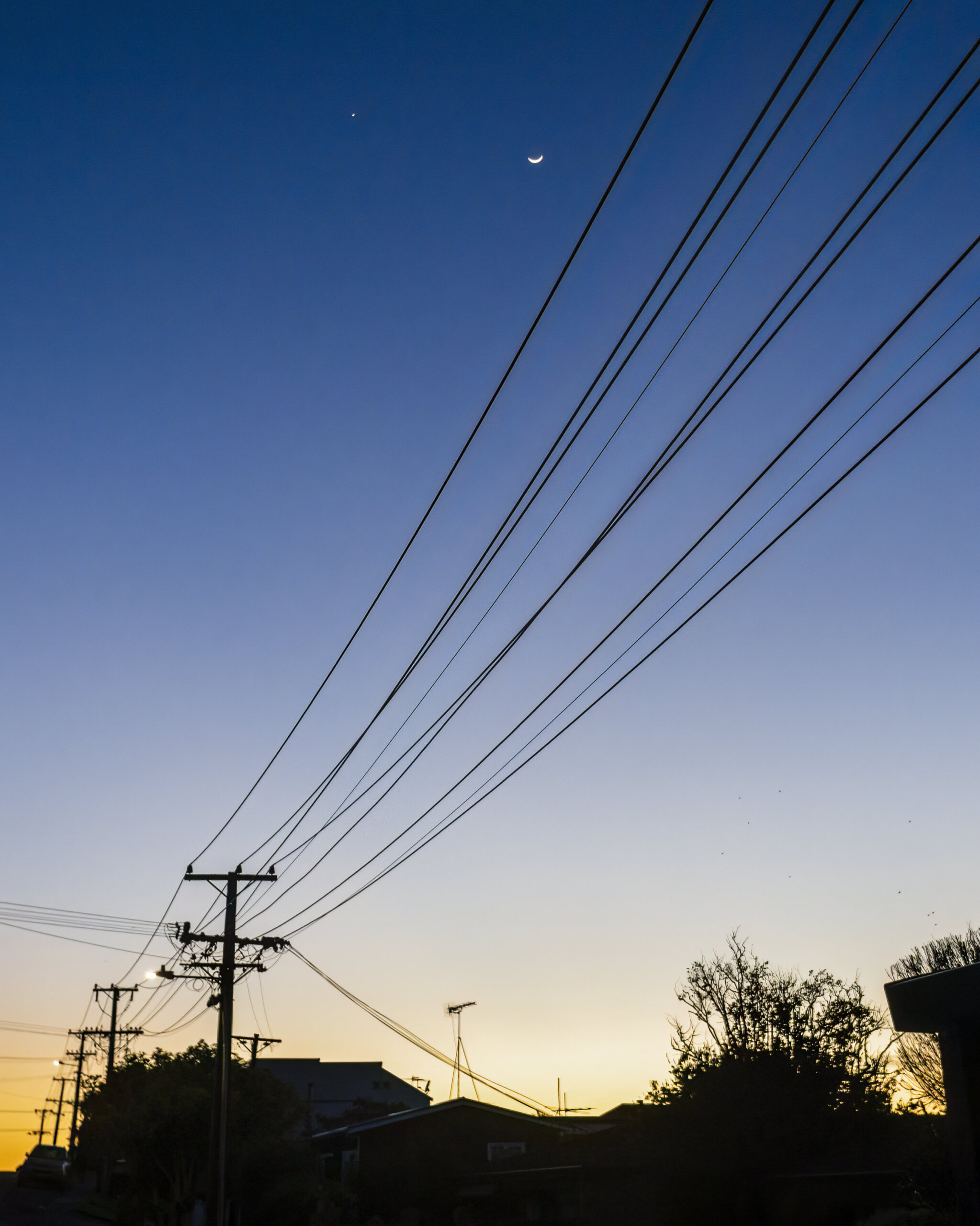Waxing crescent moon over silhouette powerlines at dawn. Auckland. Vertical format. (Getty Images)
