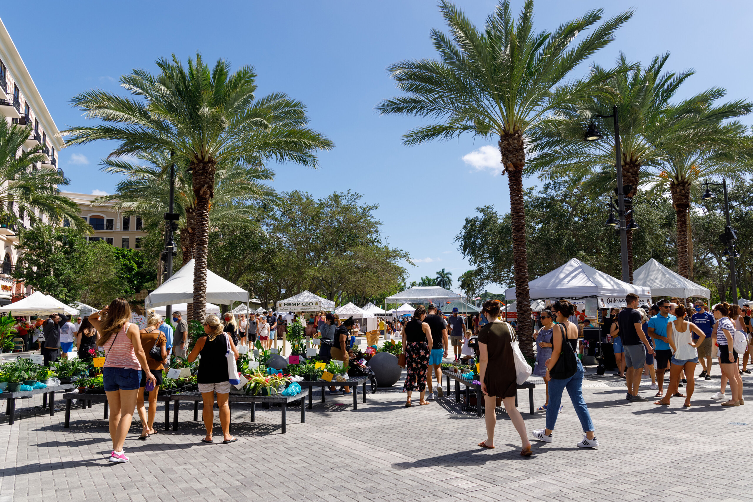 West Palm Beach GreenMarket is the best in the country