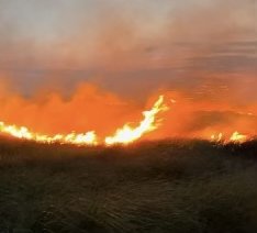 The Montauk brush fire