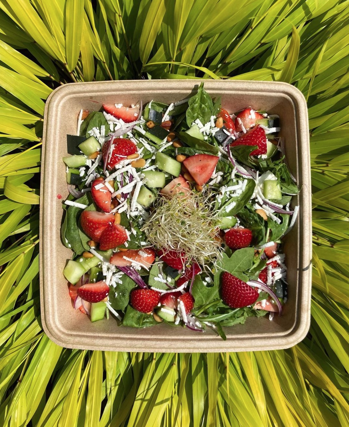 A summer salad from Montauk's Naturally Good Foods + Cafe
