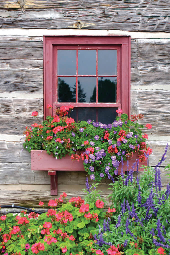 BudgetFriendly Ways to Freshen Up Your Home’s Exterior Dan’s Papers