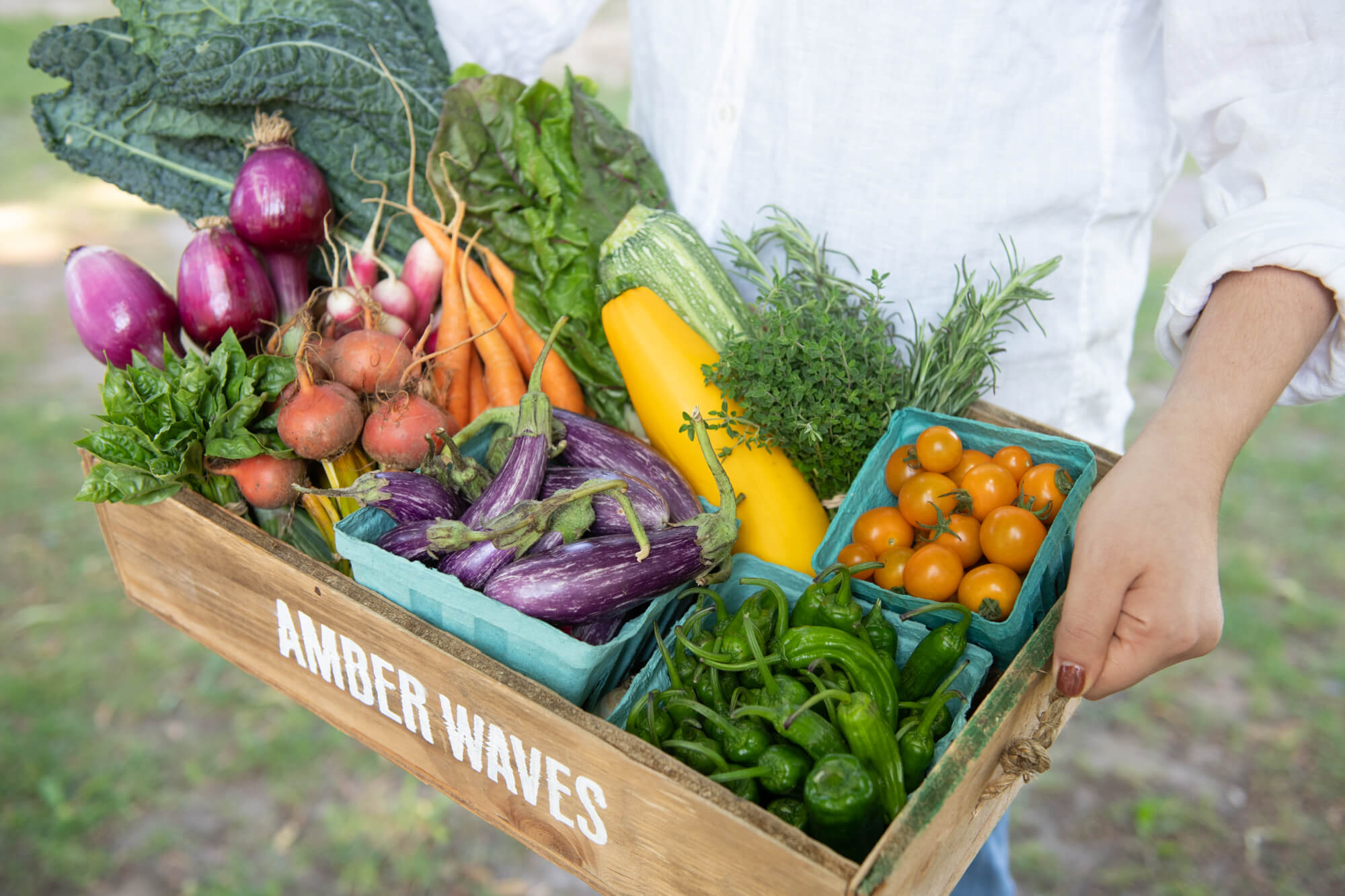 A CSA box of veggies from Amber Waves Farm