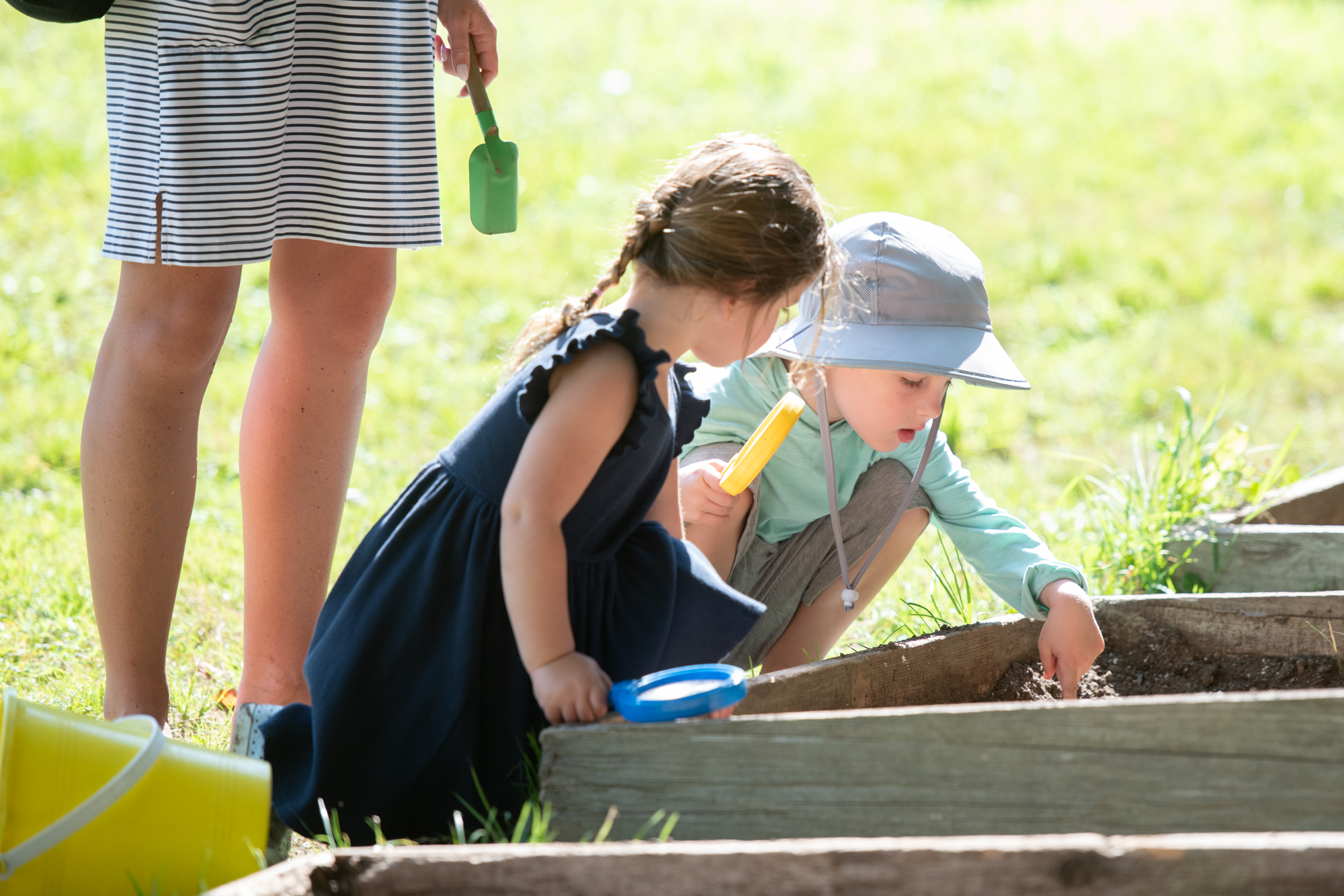 Explore the Amber Waves Farm gardens