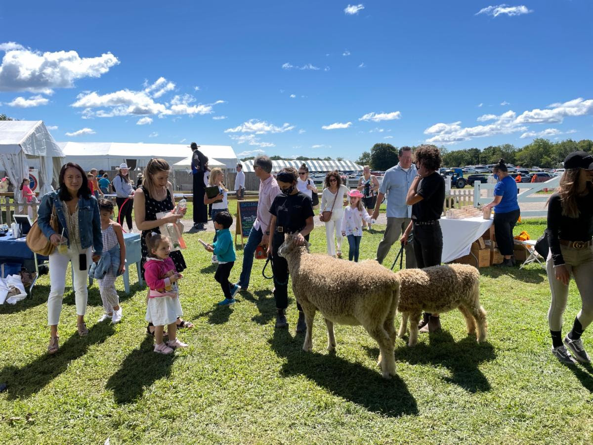 The Hampton Classic Horse Show offers fun for the whole family.