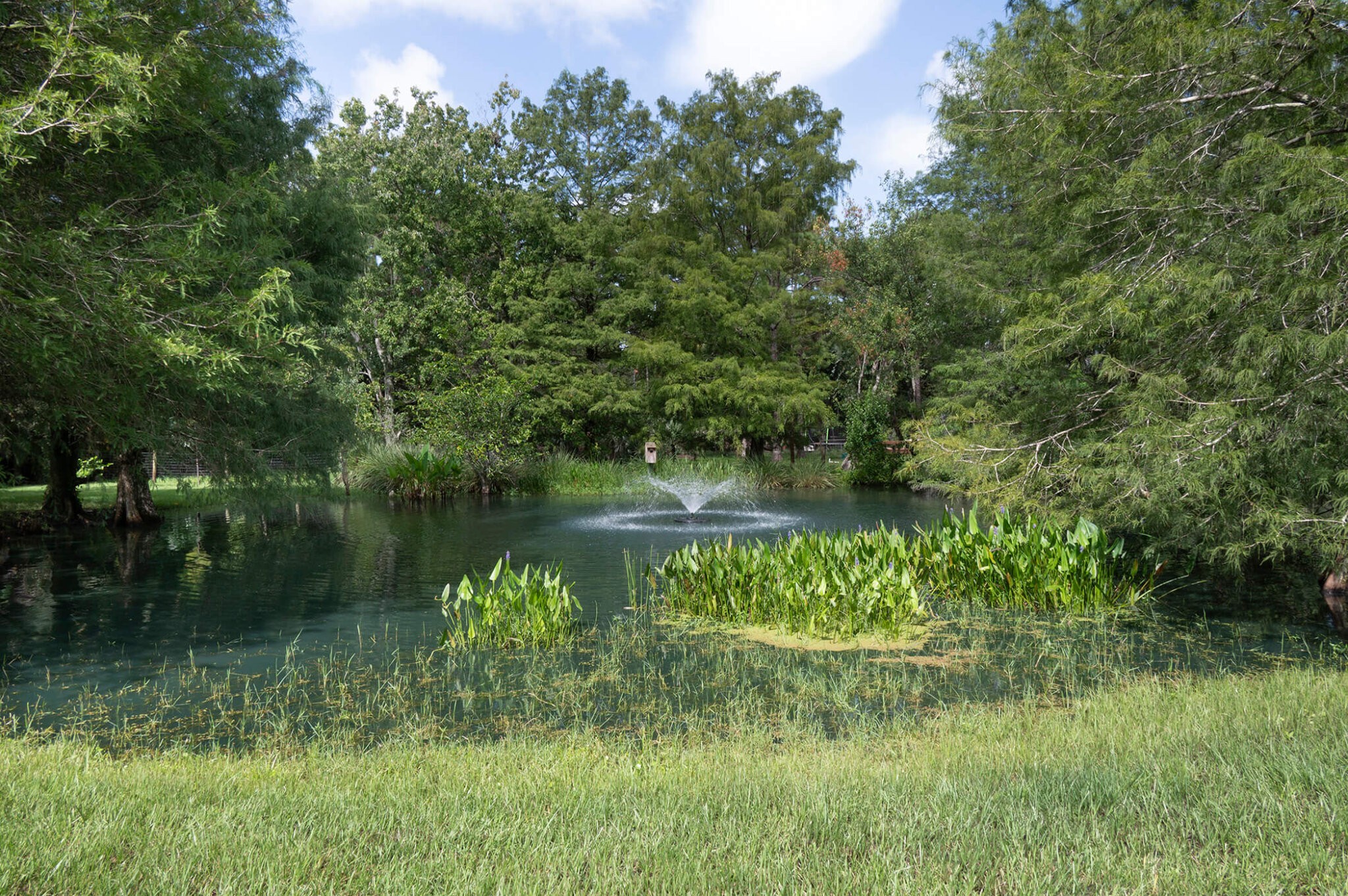 The McKee Garden is part of the Palm Beach County Native Garden Tour