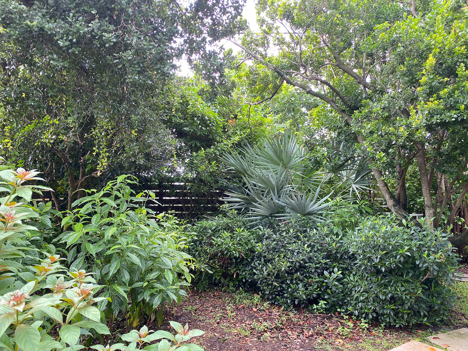 Part of the Palm Beach County Native Garden Tour