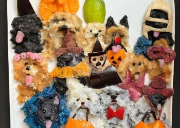 A pack of trick-or-treating dogs food art made from mashed potatoes, purple yams, clementines, eggplant, turnip, apple, rice paper, and lime, by Harley Langberg