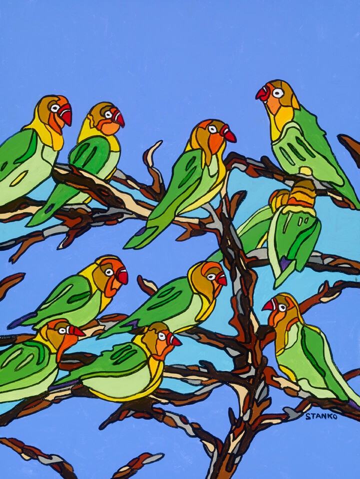 Mike Stanko's "Wild Green Parakeets"