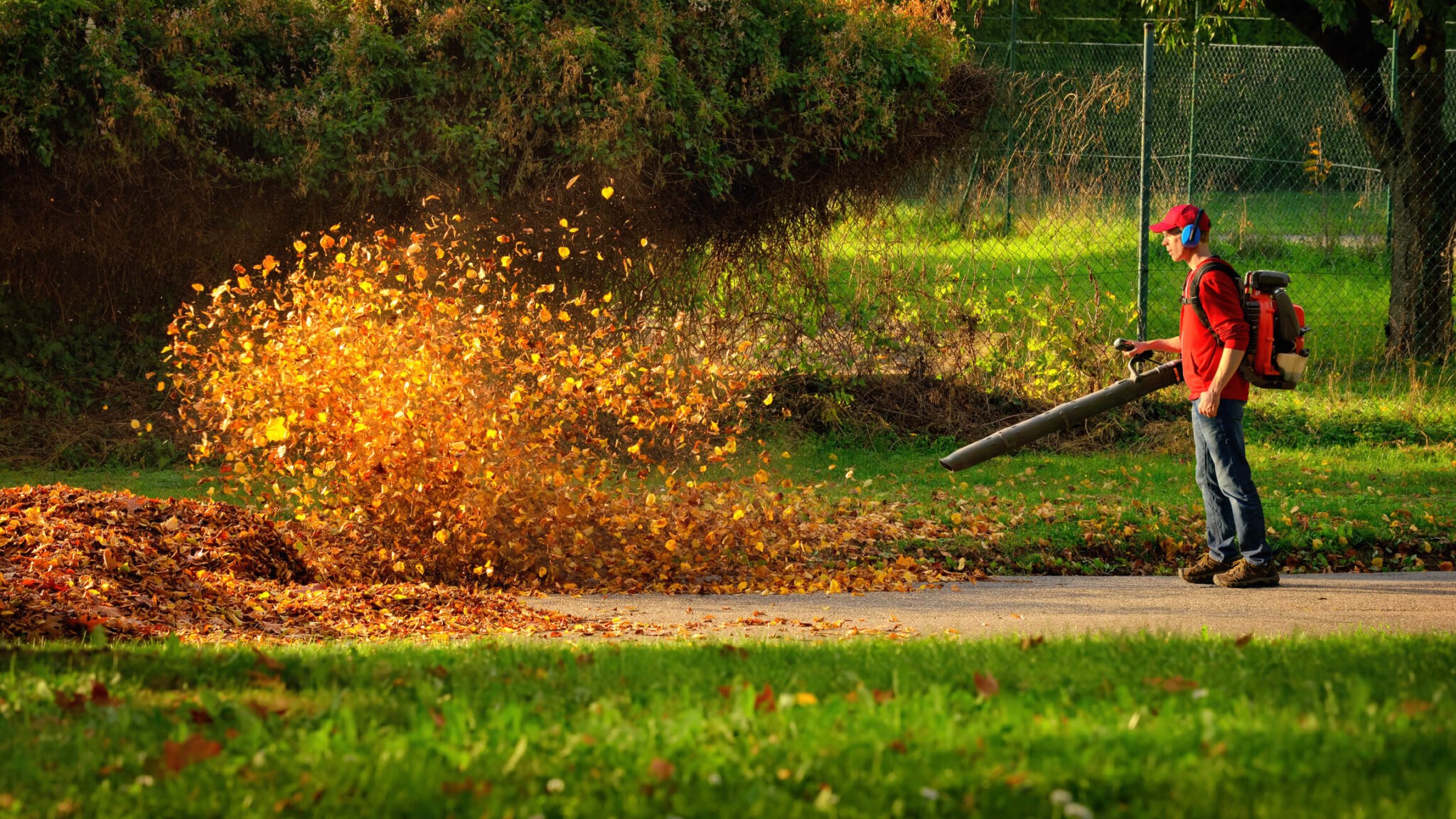 It's time for a fall cleanup!