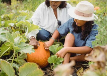Pumpkin picking is a classic fall activity.