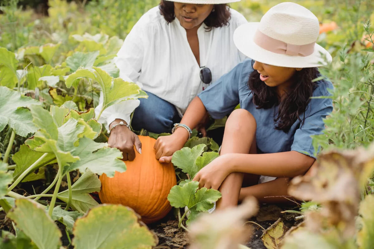 Pumpkin picking is a classic fall activity.
