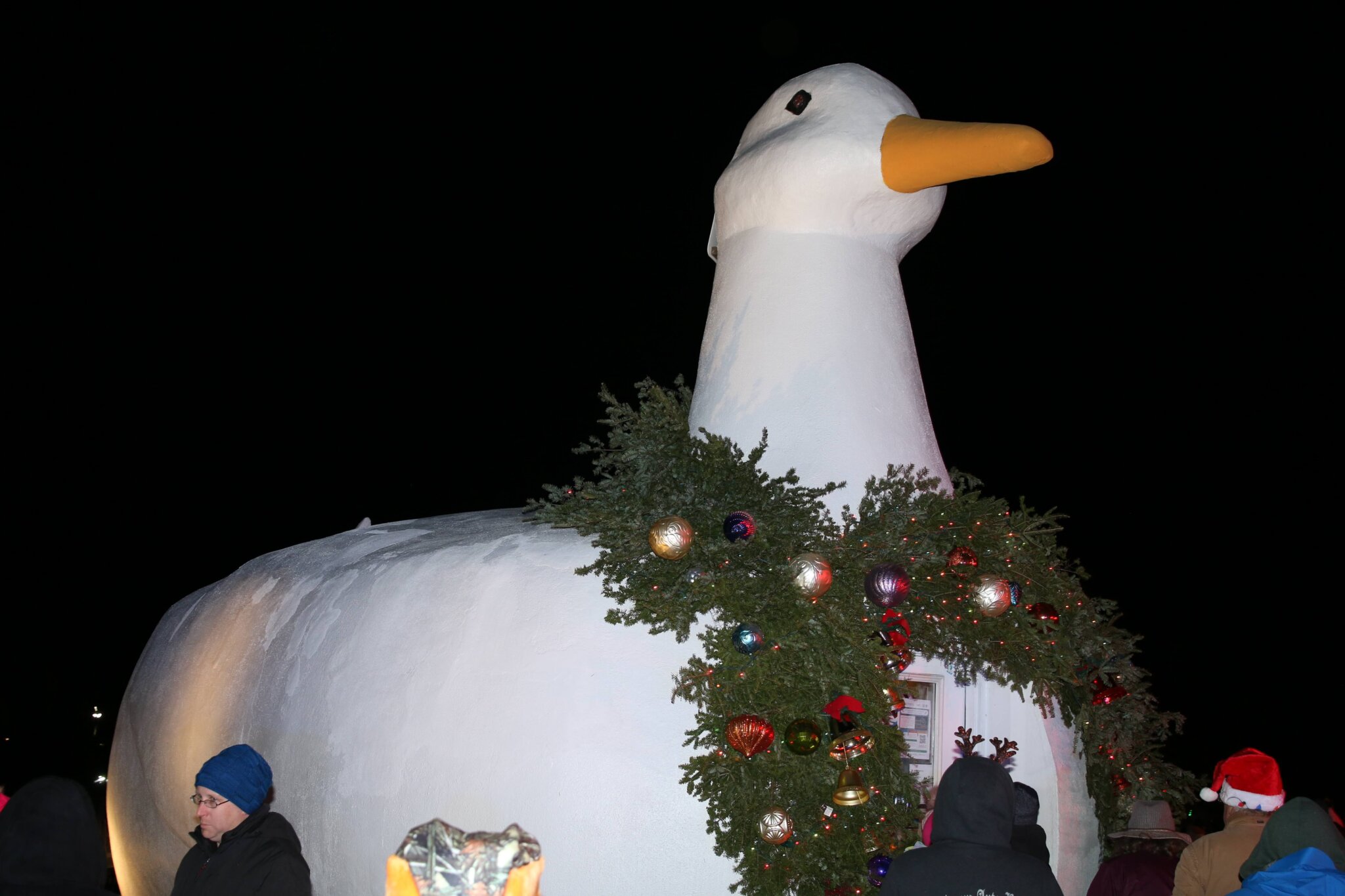 The Big Duck with its holiday wreath