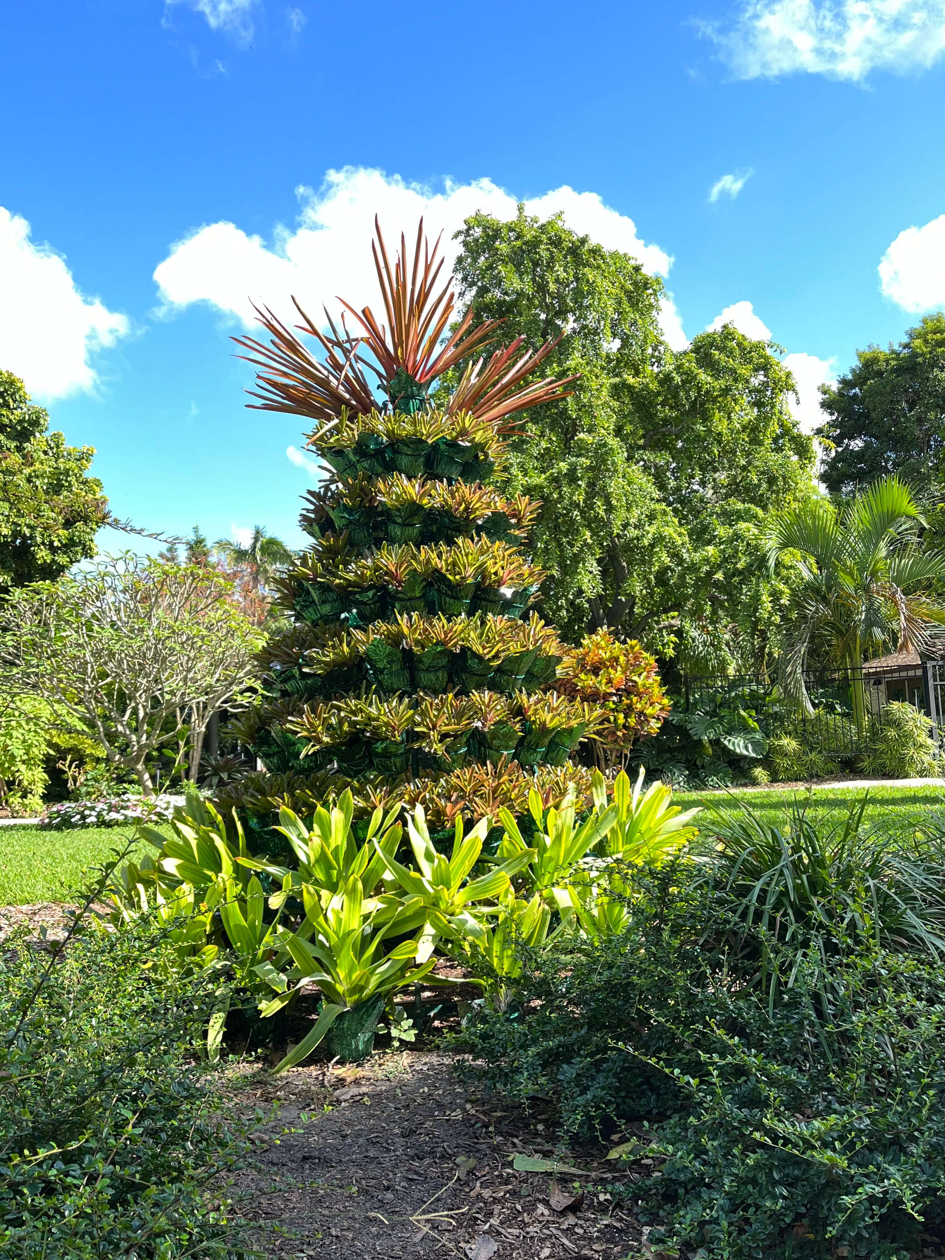 Holiday Bromeliad Tree at Mounts Botanical Garden