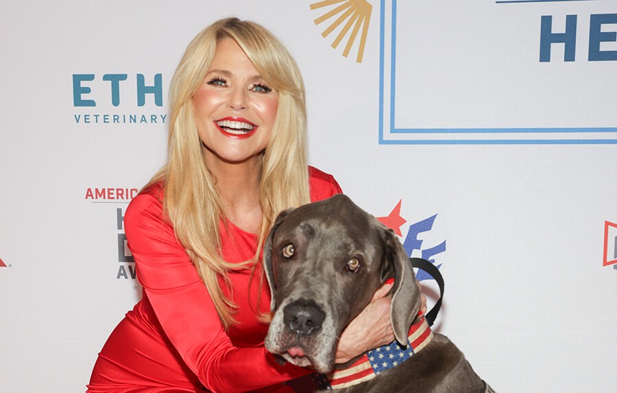 Christie Brinkley at the Hero Dog Awards