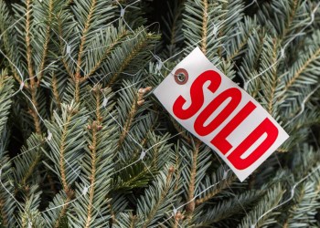 Christmas tree with a sold label on it.