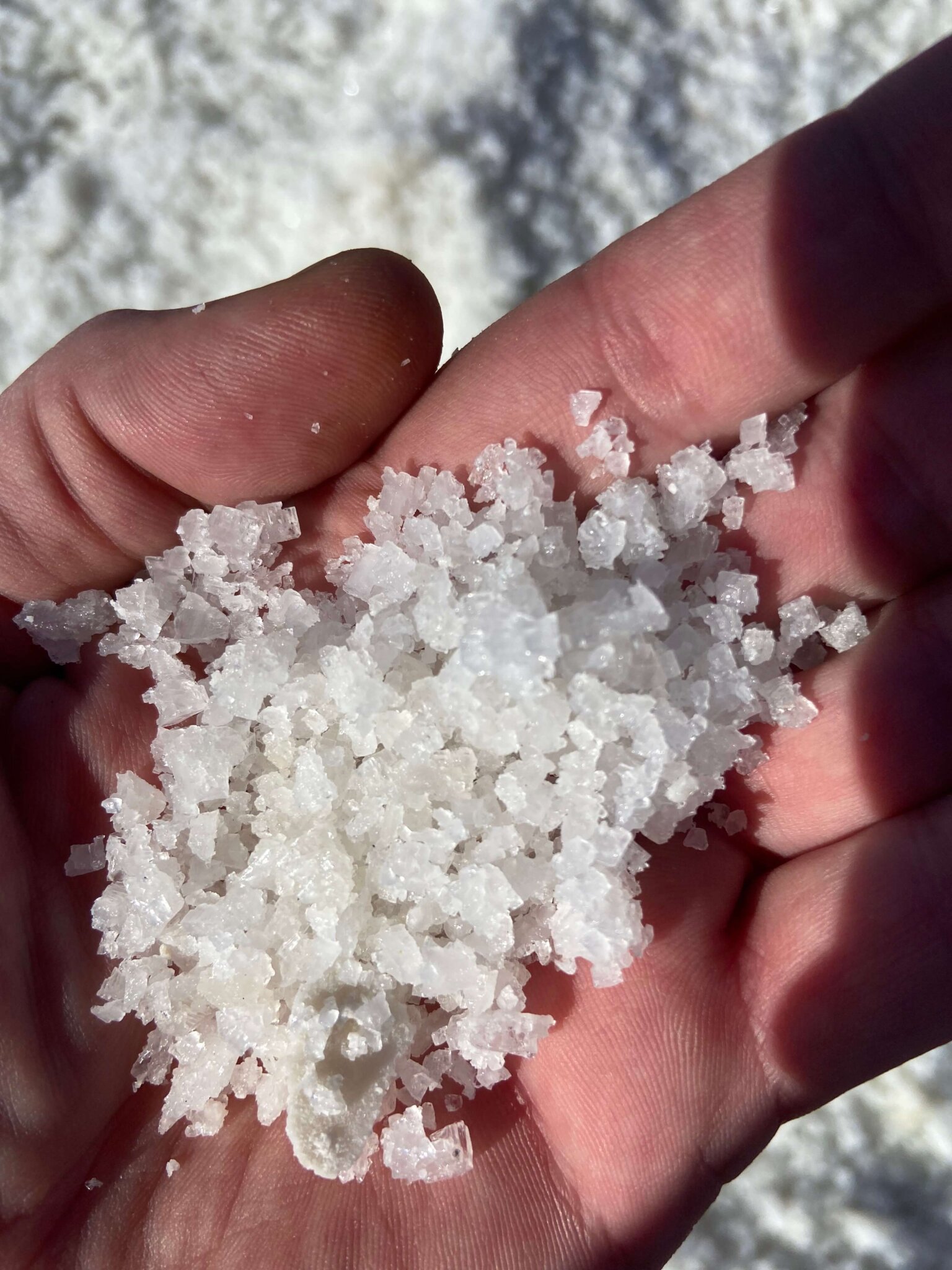 Raw sea salt from Amagansett Sea Salt