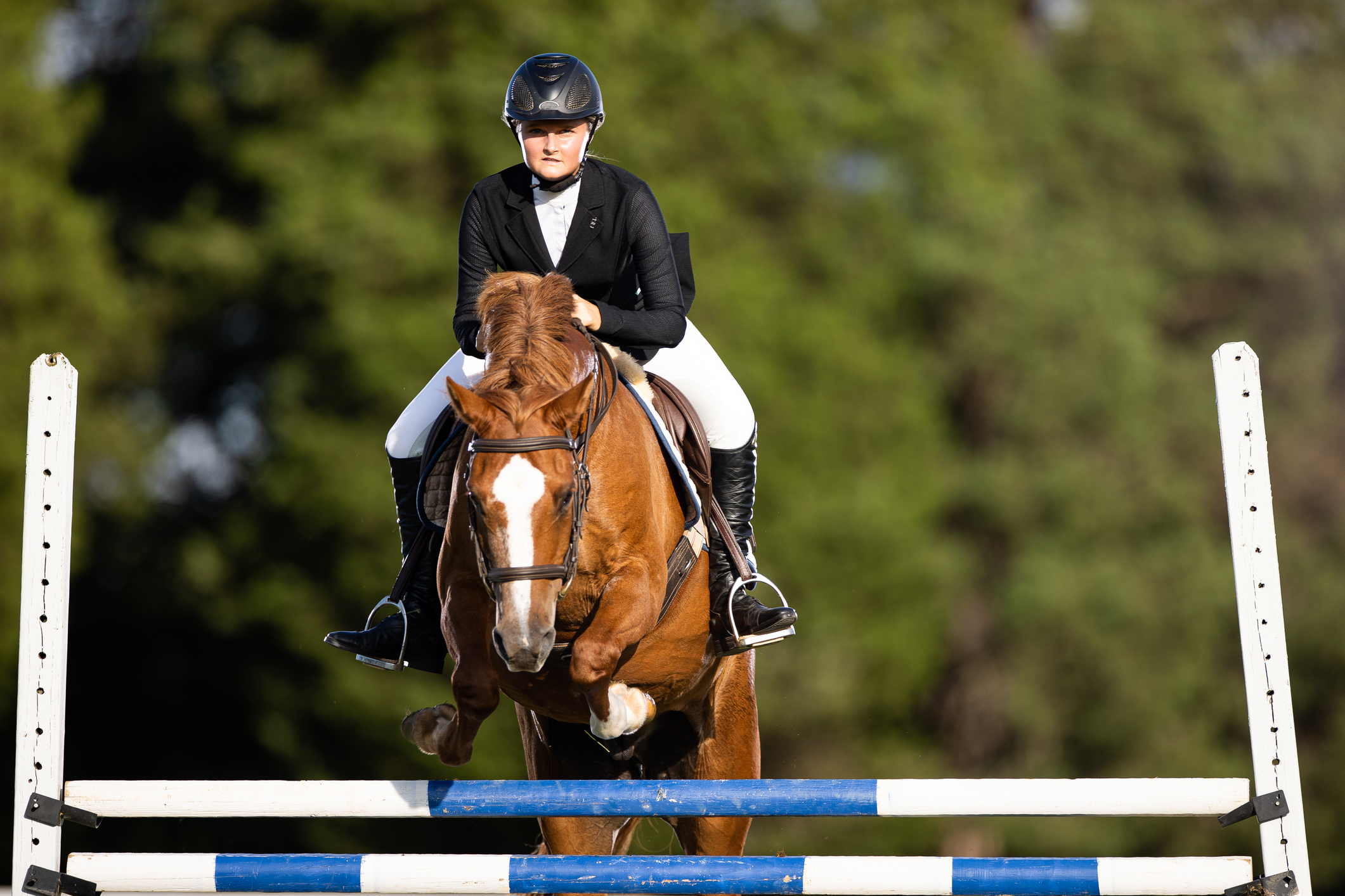 Winter Equestrian Festival in Palm Beach