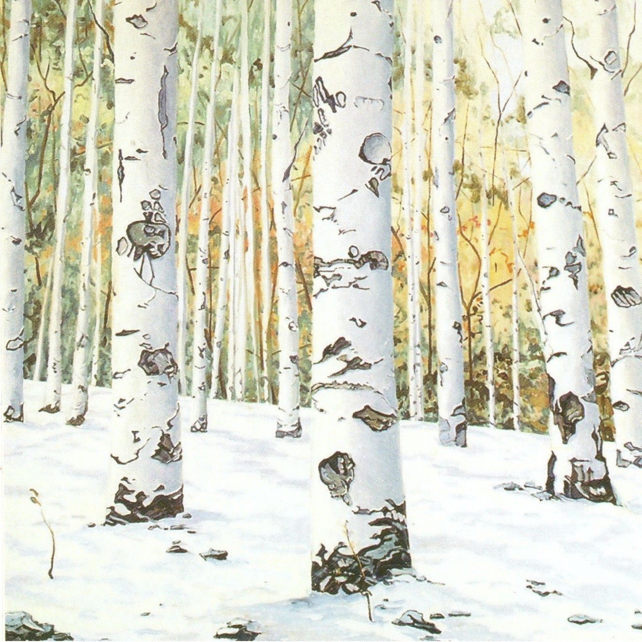 "Birches on a Slope #3" by Shain Bard