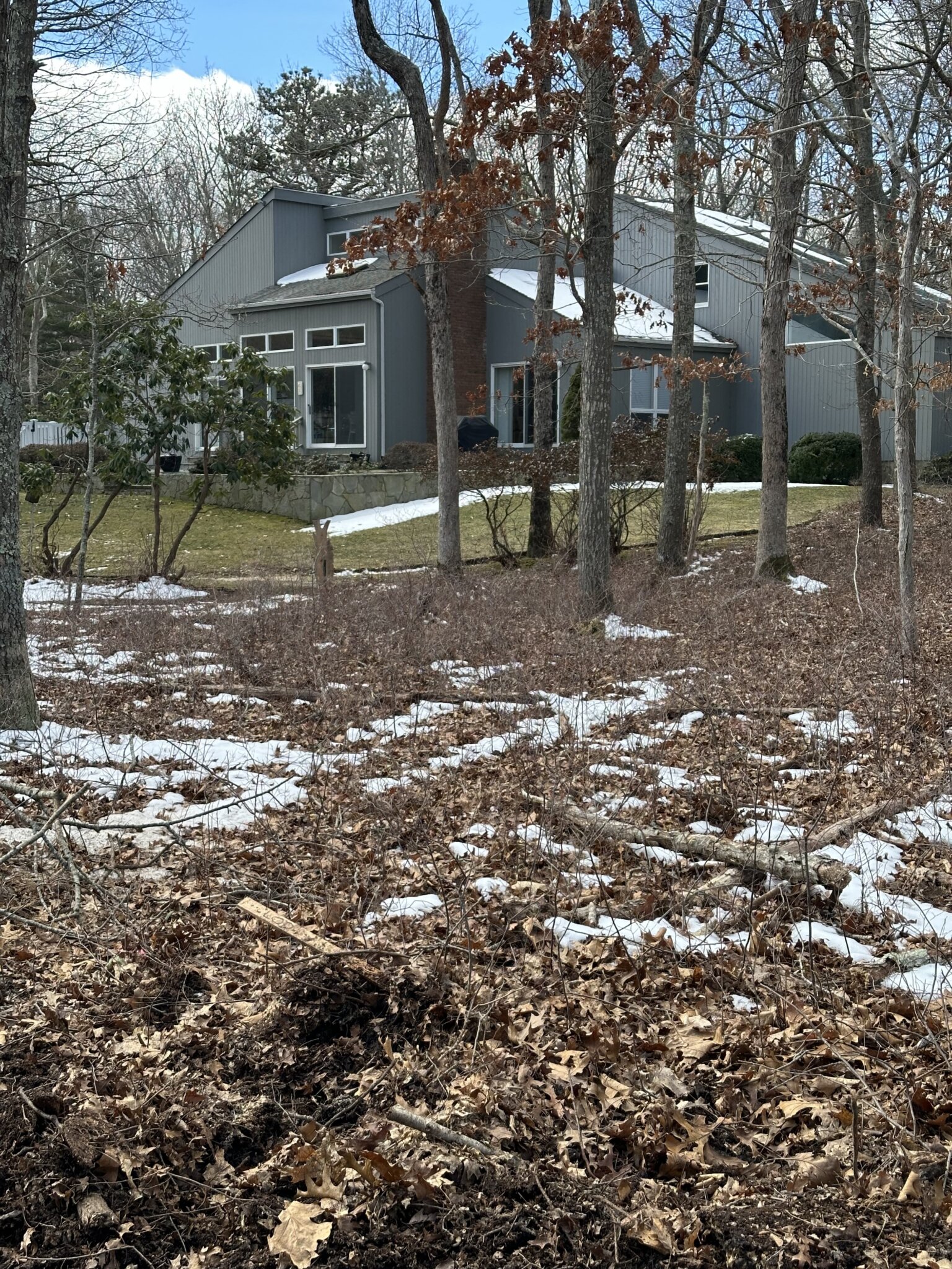 The view from the newly cut access road