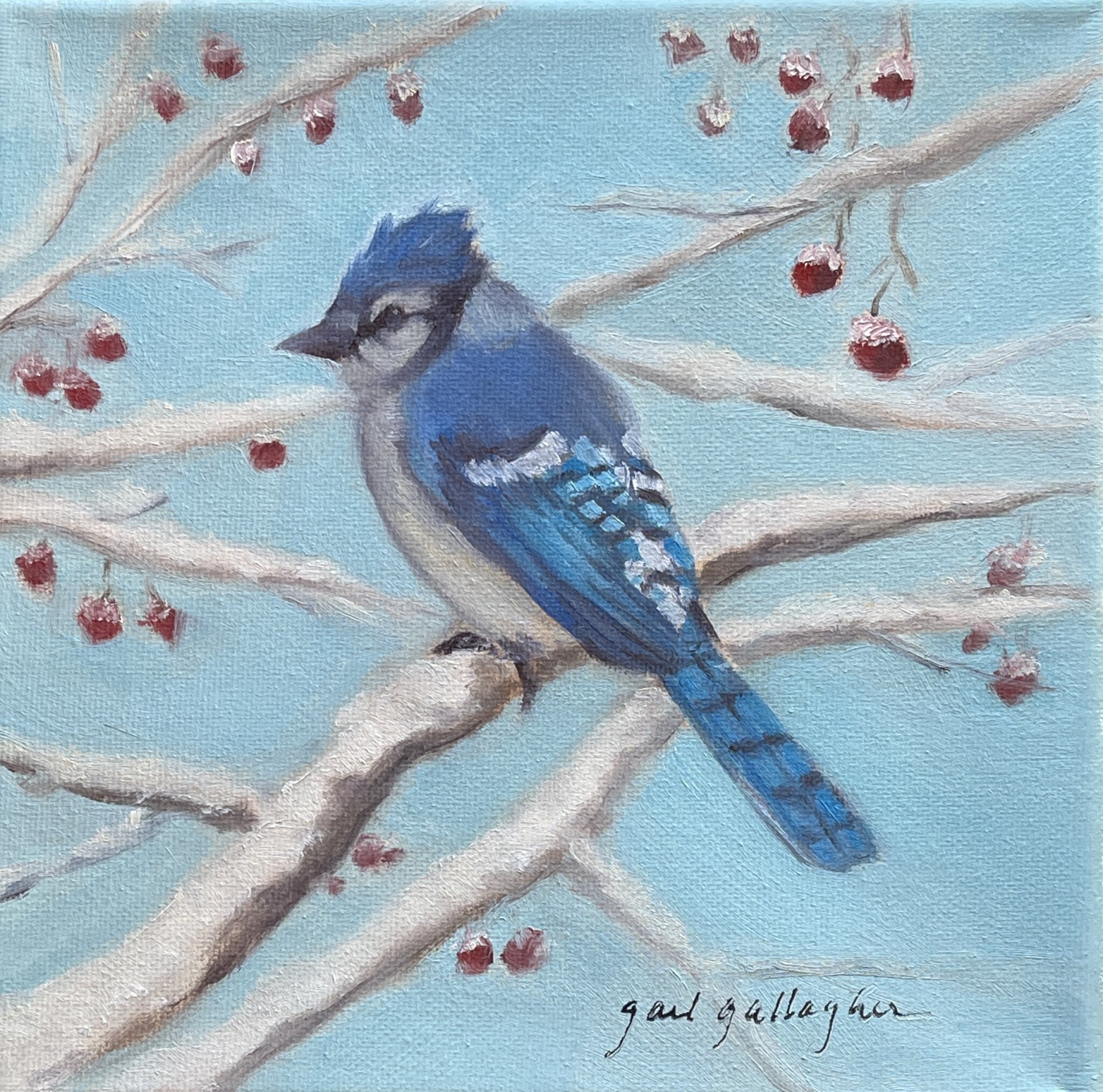 Gail Gallagher's "Winter Blue Jay"