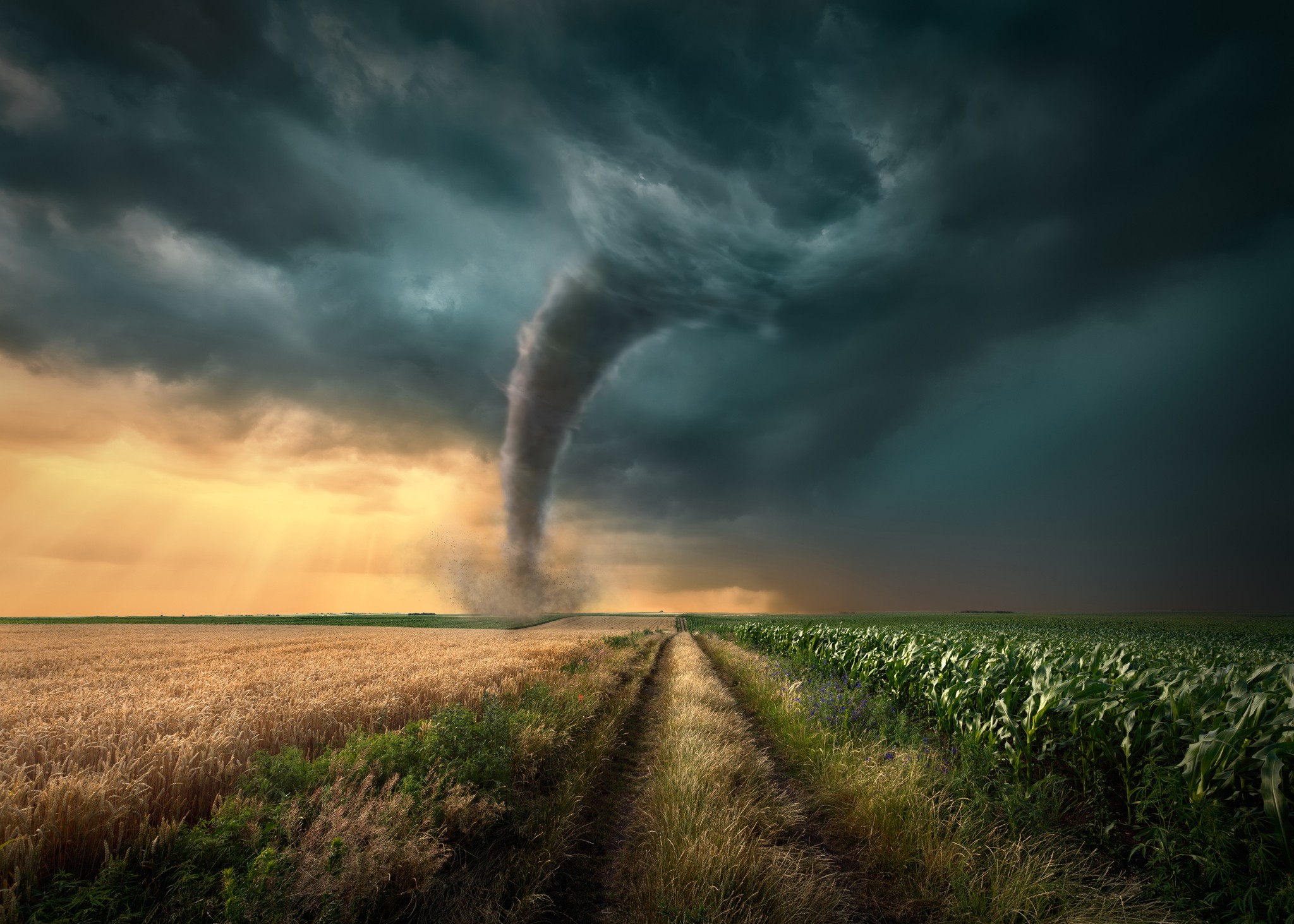 Driving on straight dirt road towards the ominous tornado storm through the cultivated fields of wheat and corn crops. tornadoes in the Hamptons