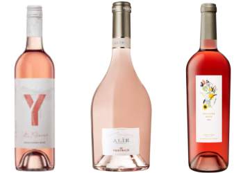 Y series rose, Alie Rose, Sylviane Rose