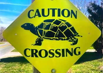 Turtle crossing signs are going up on East End roads.