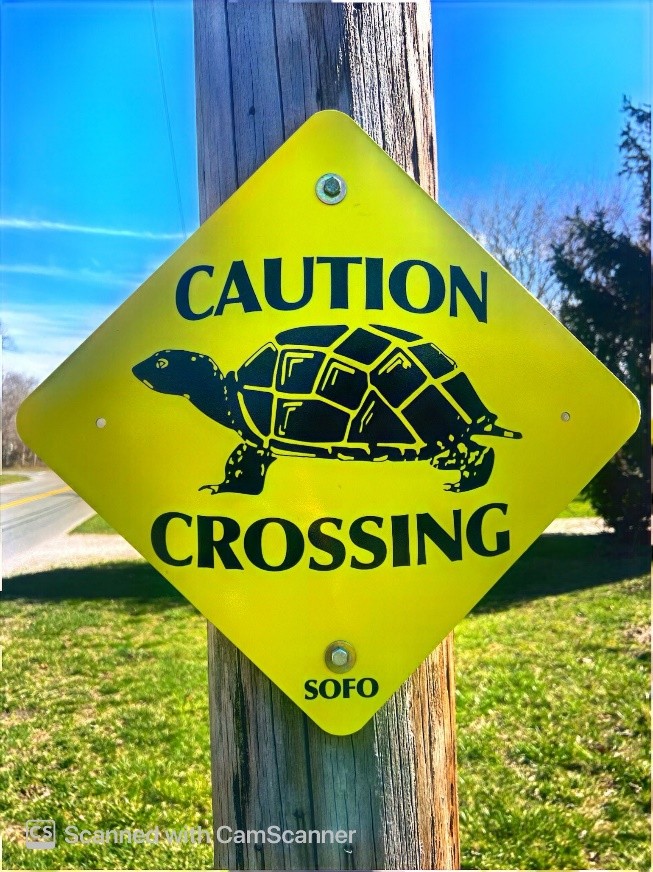 Turtle crossing signs are going up on East End roads.