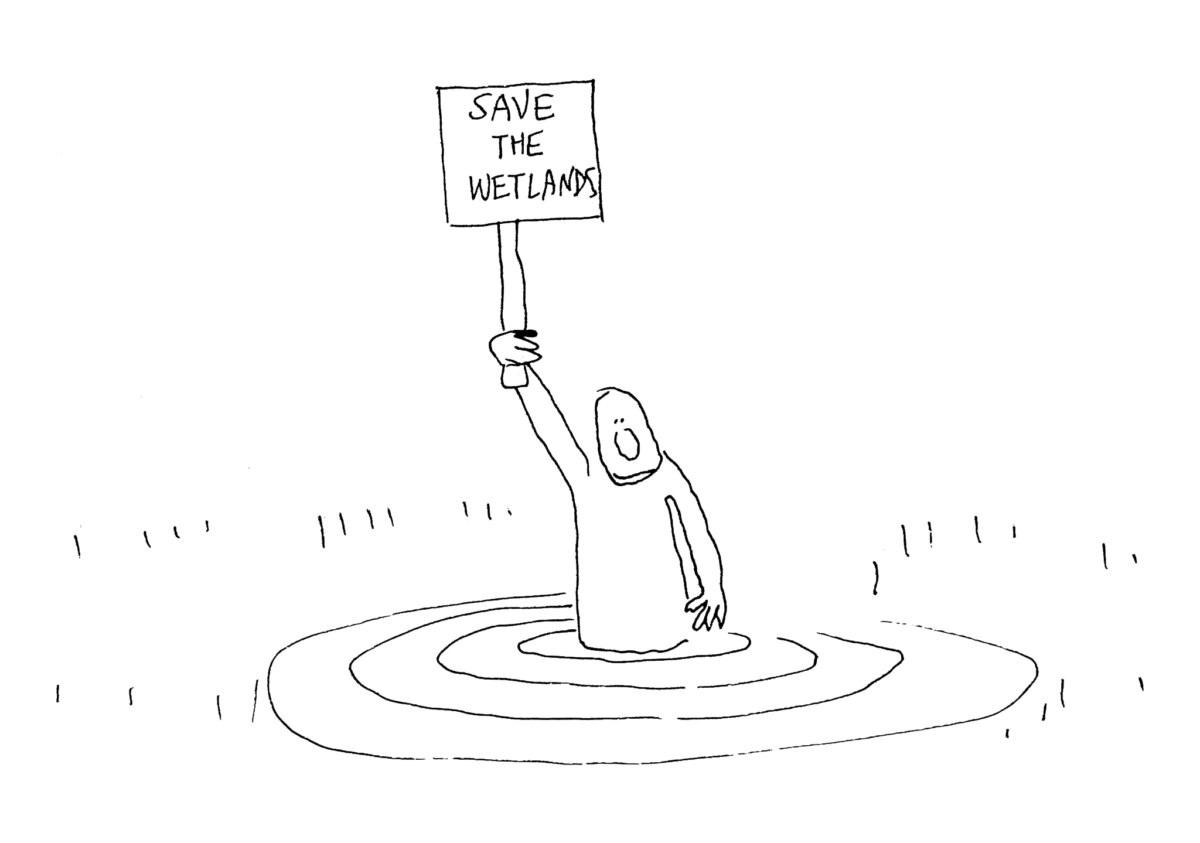 East Hampton Town Trustees' Bank Accounts Frozen