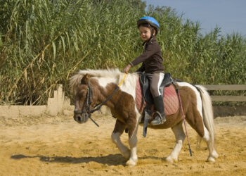 Your kids can enjoy their first pony ride this week.