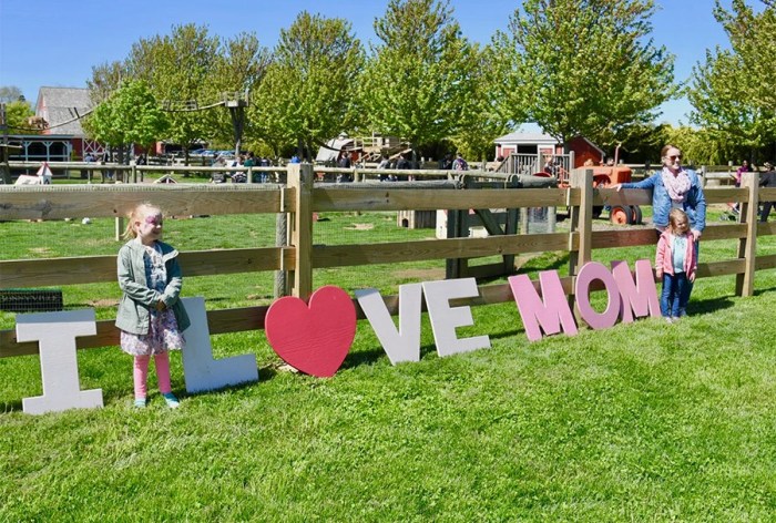 Celebrate Mother's Day with kids at Harbes Family Farm