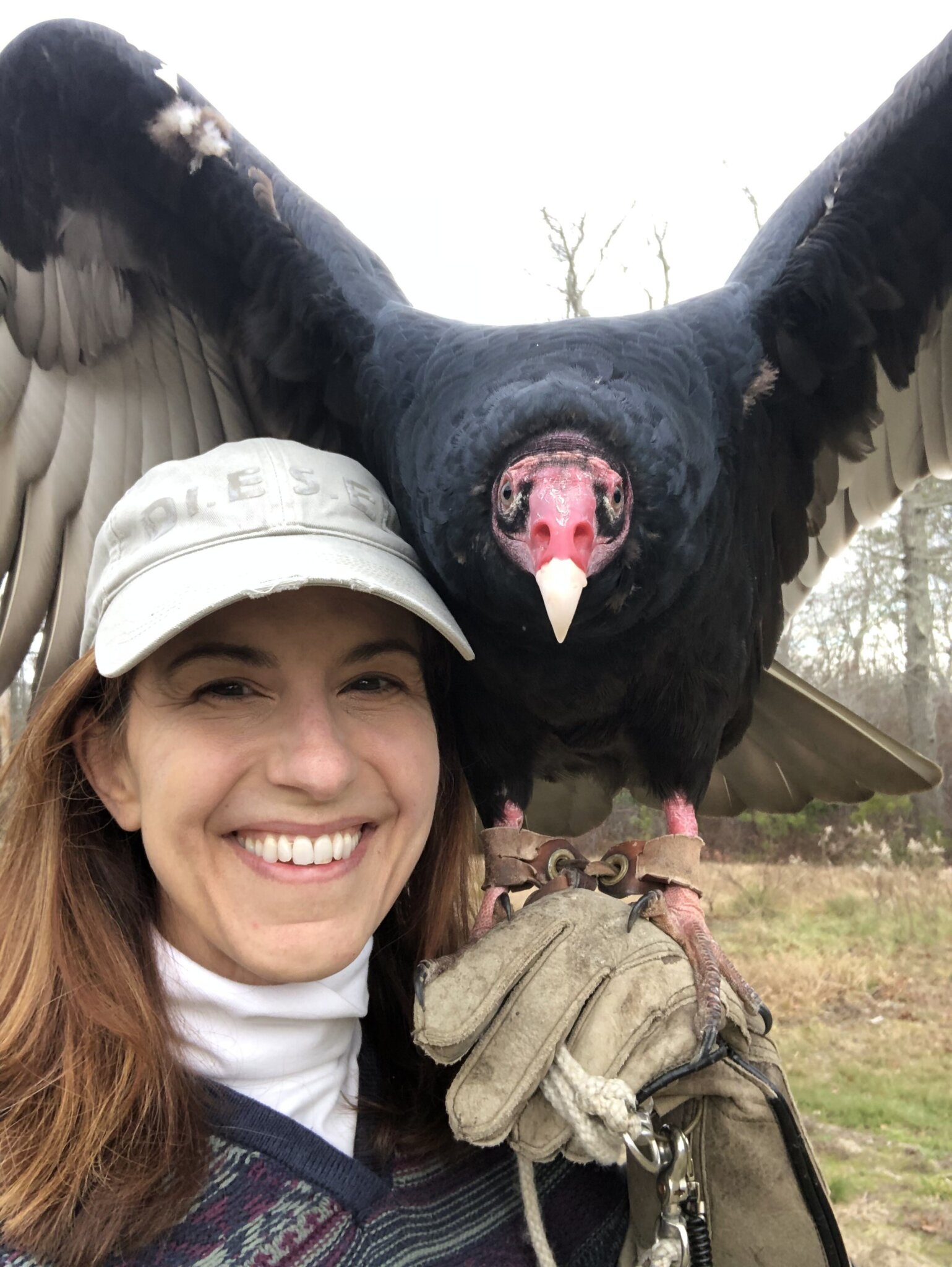 Vlad the vulture used to hang out at CPI but he now lives at Evelyn Alexander Wildlife Rescue