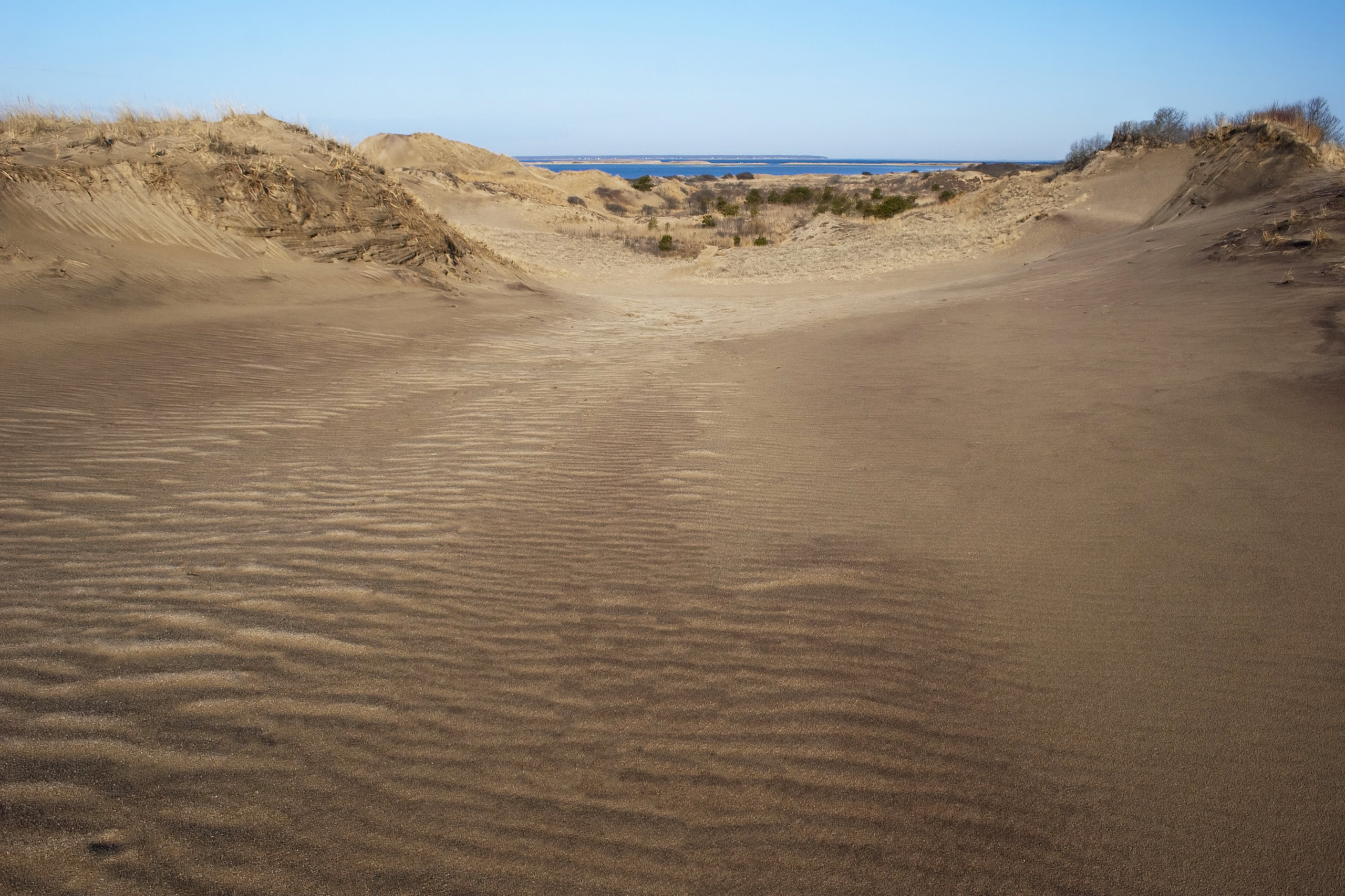 Montauk Walking Dunes fun for kids and the whole family