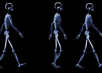 The new Hamptons Subway full-body X-ray machines