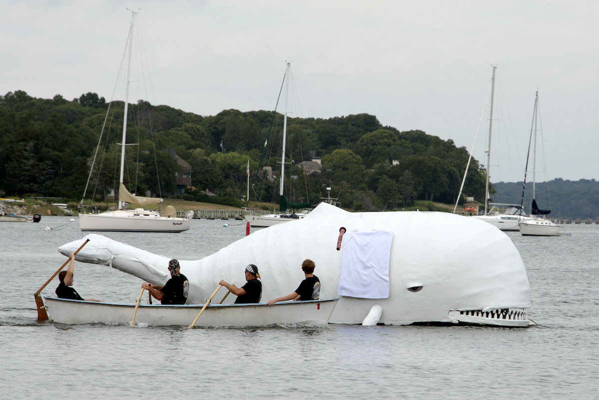 Team Whalers going after the white whale in the 2015 HarborFest Whalers Cup