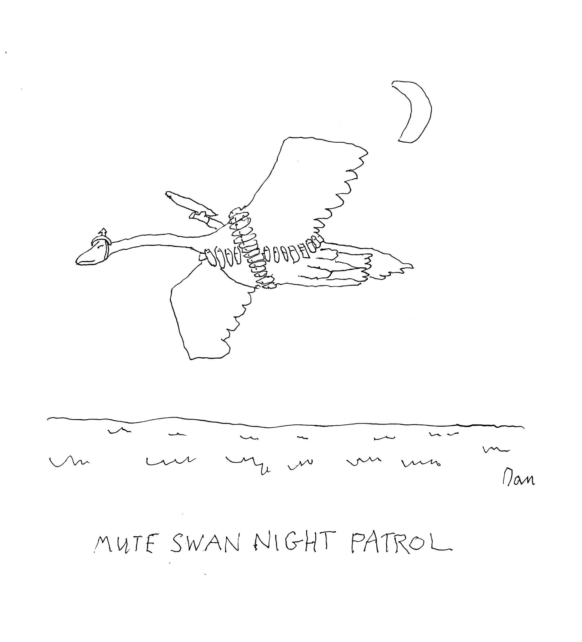 Swan Cartoon by Dan Rattiner
