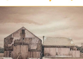 September 8, 2023 Dan's Papers cover art by Howard Stern