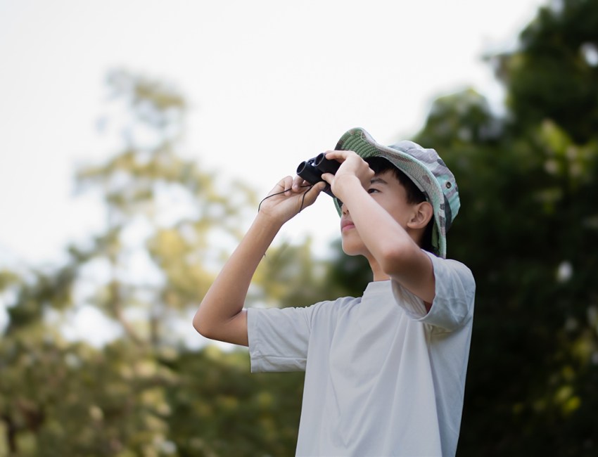 Teach your kids to be young birders!