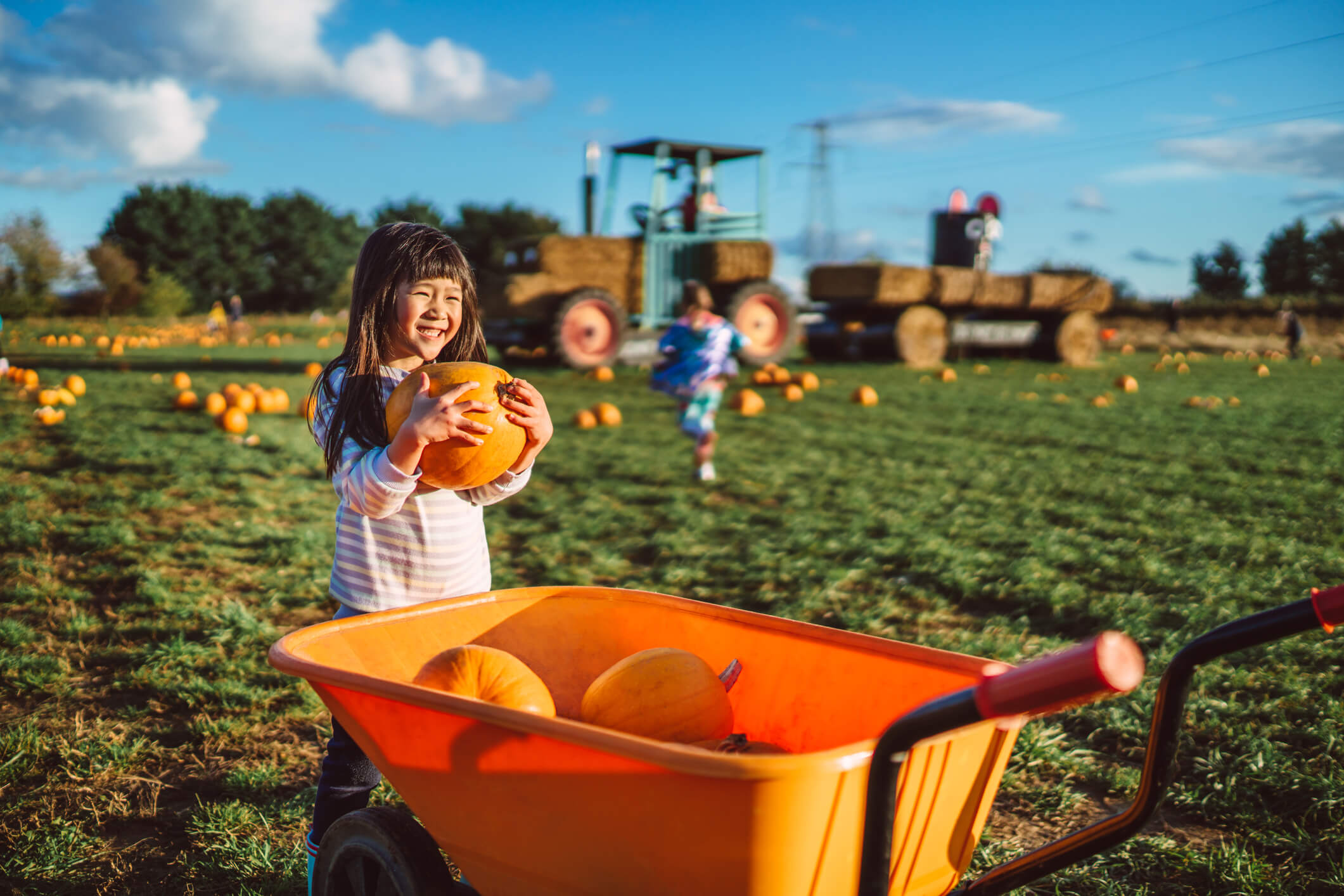 It's peak season for East End fall festivals in the Hamptons and North Fork