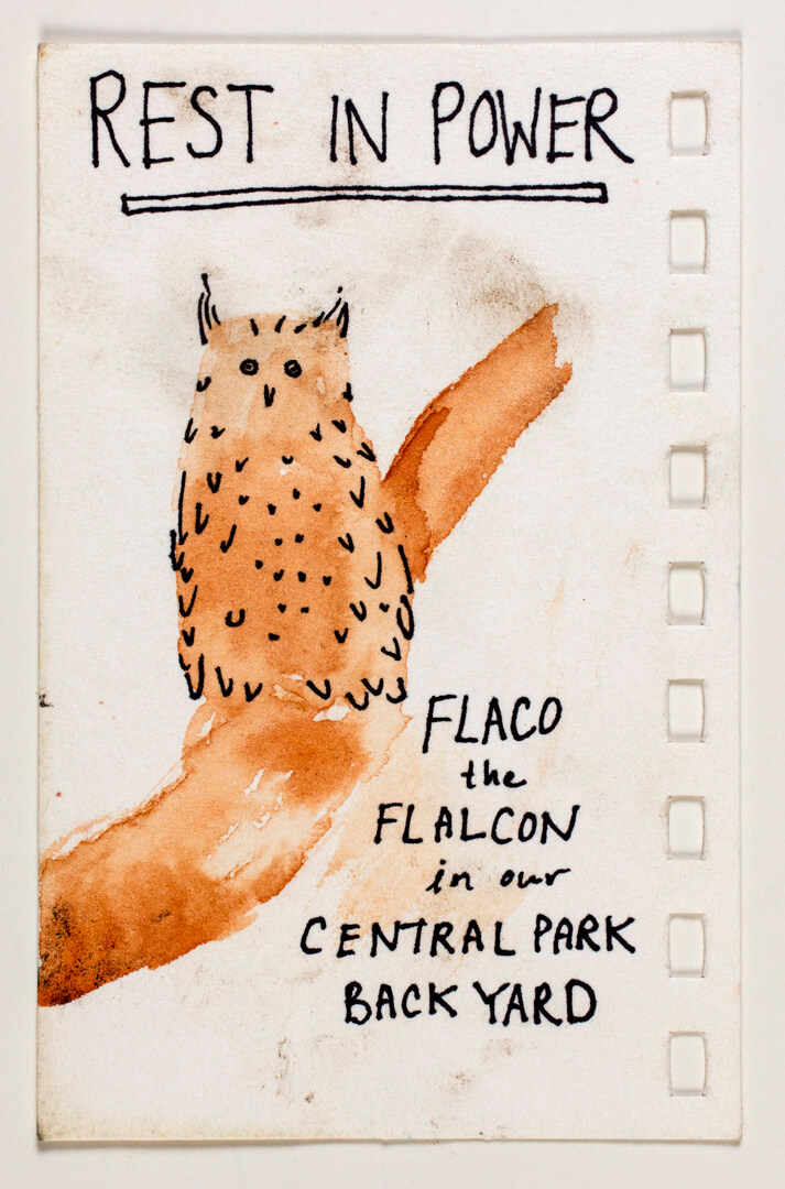 Drawing left at Flaco memorial, 2024Watercolor and ink on paper.