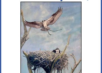 March 21, 2025 Dan's Papers cover art by Diane Alec Smith