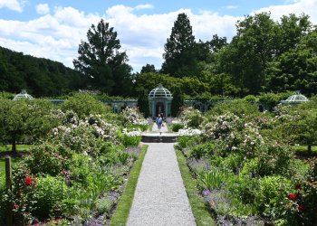 The splendor of Old Westbury Gardens